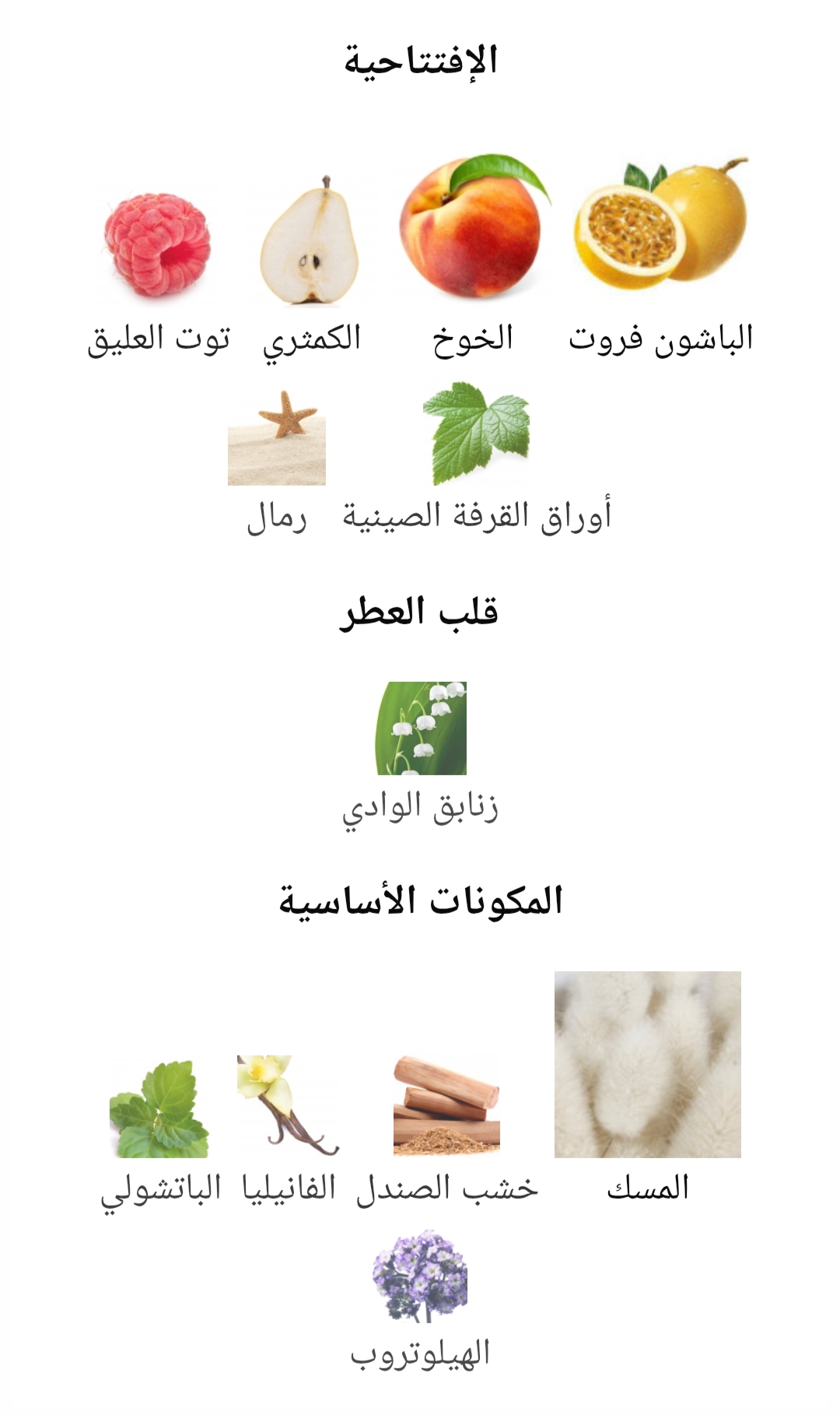 Kirkè Tiziana Terenzi - الصورة 2