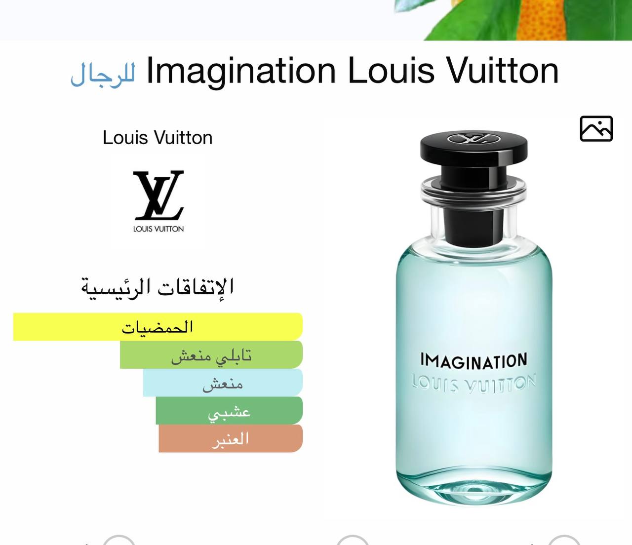 Imagination - الصورة 2